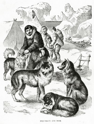 Esquimaux ve Köpekler. 1902 (taş) by Unbekannt