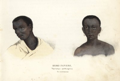 Etiyopyalı erkek ve kadın. Georg Friedrich Treitschke