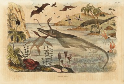 Soyu tükenmiş dinozorlar, ichthyosaur, plesiosaur, deniz hayvanları, pterodaktiller, kertenkeleler, kaplumbağalar, böcekler, balıklar, kalamar, yumuşakçalar vb. by Unbekannt