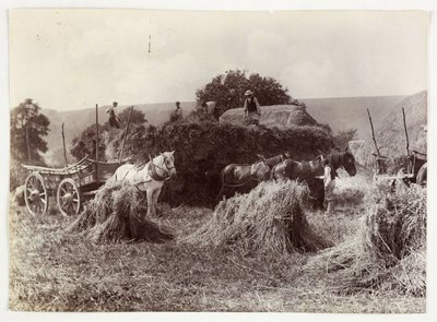 Tarım Sahneleri, Hasat ve Depolama, 1900 Öncesi Hasat, c 1890 by Unbekannt
