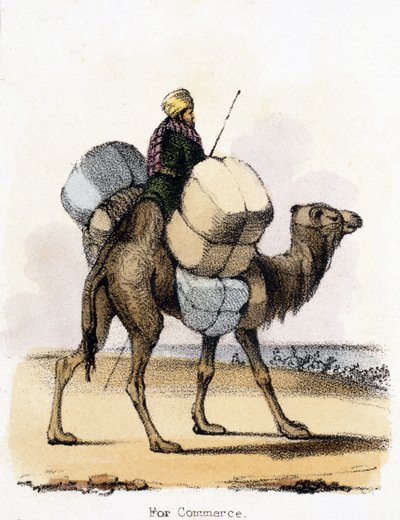 Ticaret İçin