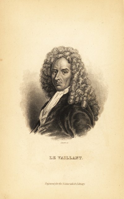 Francois le Vaillant veya Levaillant, Fransız yazar, kaşif, doğa bilimci ve kuş bilimci by Unbekannt