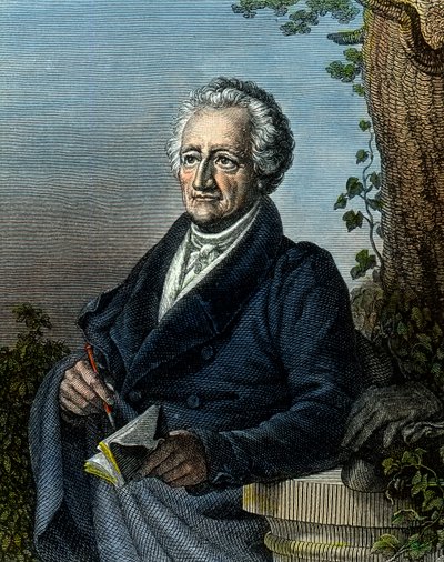 Goethe, 83 yaşında by Unbekannter Künstler