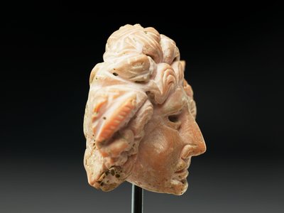 Medusa