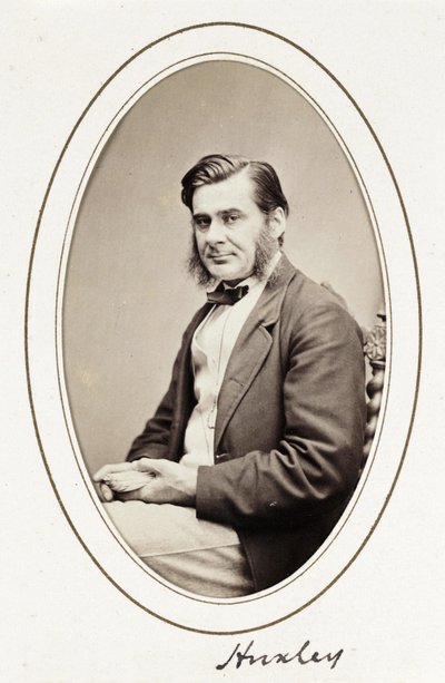 Huxley', yaklaşık 1865 by Unbekannt