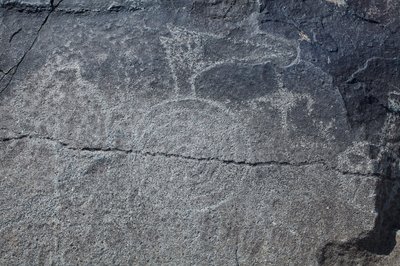 Hint Petroglifleri - Hayvan ve Sembolik Temsil - Petroglyph Ulusal Anıtı - Albuquerque, New Mexico, ABD (ABD) by William M. Timlin