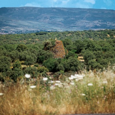 İtalya, Sardunya Bölgesi, Oristano Eyaleti, Nuraghe Crabia by William M. Timlin