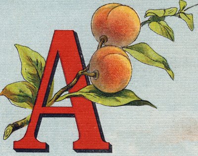 A harfi: kayısı. "Alphabet de ma petite fille" gravürü. Bernardin-Bechet ve Fils, kitapçı-yayıncılar, Paris, 1895 civarı. Tuval üzerine kırılmaz albüm. Bibliotheque des Bebes. 12 sayfa. Bir okuma yöntemi ve açıklayıcı bir abeced içeren albüm by Unbekannt
