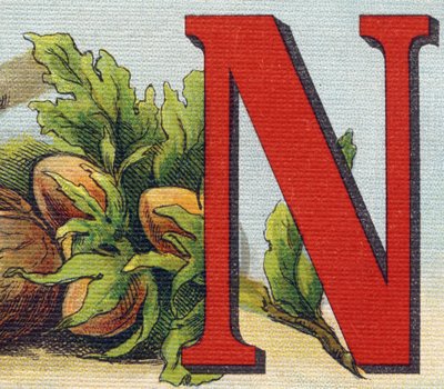 N harfi: fındık. "Alphabet de ma petite fille" gravürü. Bernardin-Bechet ve Fils, kitapçı-yayıncılar, Paris, 1895 civarı. Tuval üzerine kırılmaz albüm. Bibliotheque des Bebes. 12 sayfa. Bir okuma yöntemi ve açıklayıcı bir abec içeren albüm by Unbekannt