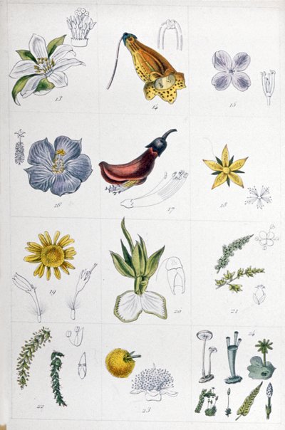 Keten sistemi, 1850 civarı (gravür) by Unbekannter Künstler