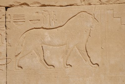 Aslan oymacılığı, Karnak, Luksor, Mısır (fotoğraf) by Unbekannt