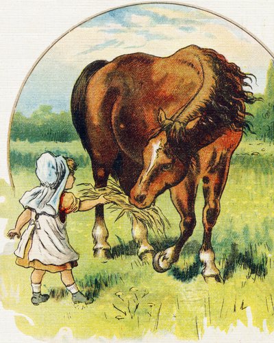 Küçük kız bir ata saman veriyor. "ABC L