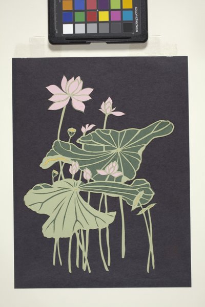 Lotus (çok renkli kesilmiş kağıt) by Unbekannter Künstler