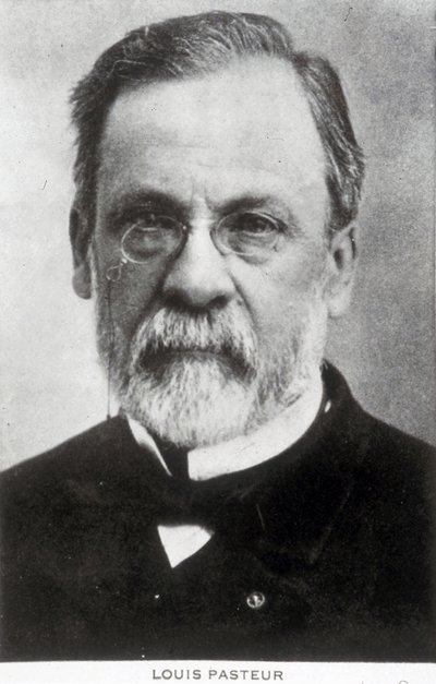Louis Pasteur, Fransız kimyager ve mikrobiyolog, 1885 civarı by Unbekannter Künstler