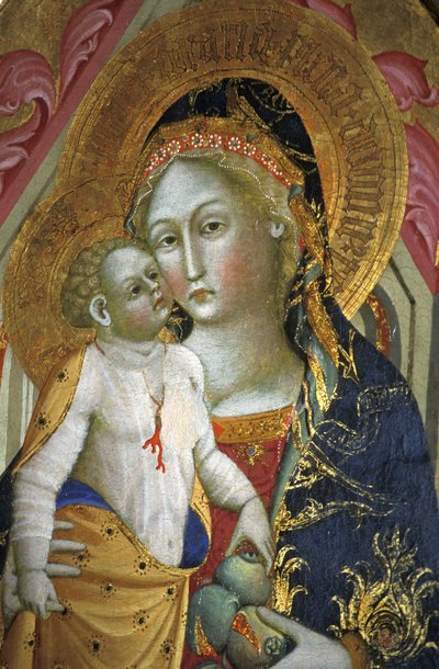 Madonna ve çocuk, Francesco di Gentile, XIV yüzyıl, Piersanti müzesi, Matelica, Marche, İtalya by Unbekannt