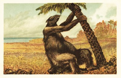 Megatherium americanum bir palmiye ağacını çekiyor.1908 (litografi) by Unbekannter Künstler
