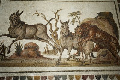 Hayvan dövüşünün mozaiği: iki gece primagresine saldıran kaplan. II s AD/Musee d