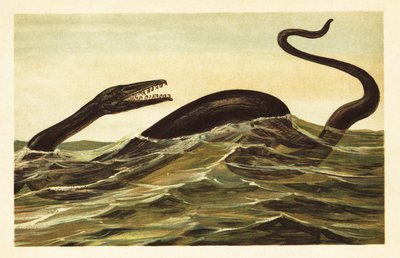 Mosasaurus hoffmannii, soyu tükenmiş su sürüngeni.1908 (litografi) by Unbekannter Künstler