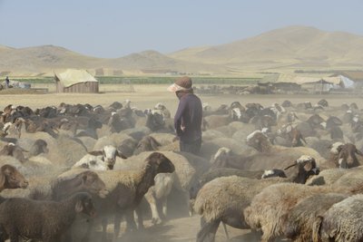 Tamar ve Ashkhaneh arasındaki göçebe çadırları, İran 2022 (fotoğraf) by Unbekannter Künstler