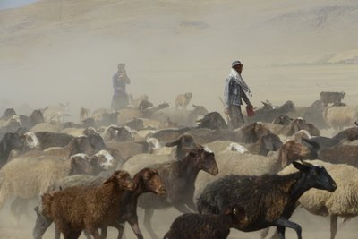 Tamar ve Ashkhaneh arasındaki göçebe çadırları, İran 2022 (fotoğraf) by Unbekannter Künstler