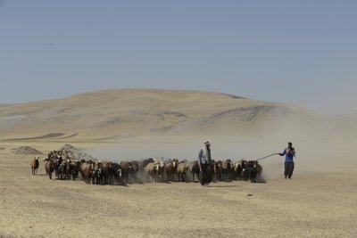 Tamar ve Ashkhaneh arasındaki göçebe çadırları, İran 2022 (fotoğraf) by Unbekannter Künstler