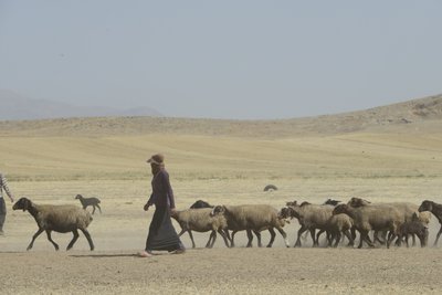 Tamar ve Ashkhaneh arasındaki göçebe çadırları, İran 2022 (fotoğraf) by Unbekannter Künstler
