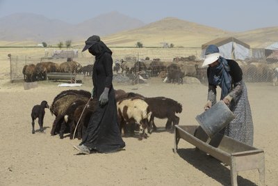 Tamar ve Ashkhaneh arasındaki göçebe çadırları, İran 2022 (fotoğraf) by Unbekannter Künstler