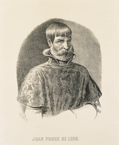  by Unbekannter Künstler
