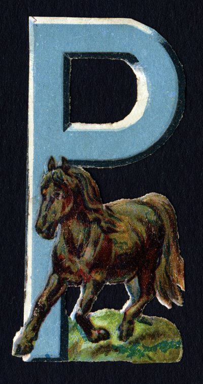P, Pony gibi. Hayvanlar konulu böcek oymacılığı. Oymak. İngiliz menşeili 26 waffle kromolitograf serisi. Editör ve illüstratör bilinmiyor. 19. yüzyılın sonu. Karartma: 5,5x3,5cm by Unbekannt