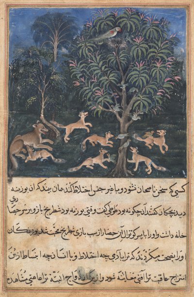 Bir Papağan Masallarından (Tuti-nama) sayfa: Beşinci gece: Anne papağan yavrusunu tilkilerle oynama tehlikesine karşı uyarır, c. 1560 (kağıt üzerine opak sulu boya, altın ve mürekkep) by Unbekannt