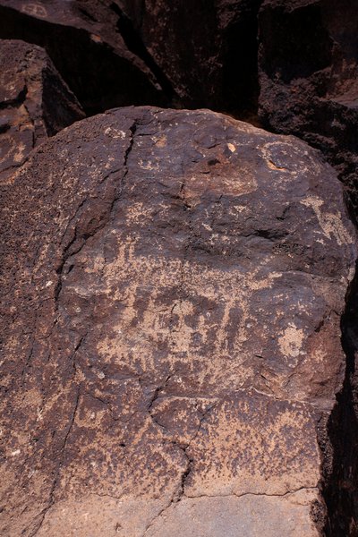 Hayvanları ve karakterleri betimleyen petroglifler - Petroglyph Ulusal Anıtı - Albuquerque, New Mexico, ABD (ABD) by William M. Timlin