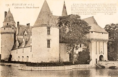 Kartpostal / Chateau de Plessis Bourre / Ecuille / Maine et Loire / Pays de Loire / Fransa by William M. Timlin