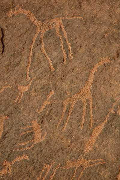 Kaya sanatı, Tarih Öncesi: Uweinat masifindeki zürafaların, deve kuşlarının, diğer hayvanların ve karakterlerin gravürü, Sudan (Karkur-Talh veya Karkur Talh). MÖ 8000 ila 3000 yıl arası dönem. fotoğrafçılık by Unbekannt