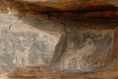 Kaya sanatı, Tarih Öncesi: Uweinat masifinde üç sığırın gravürü, Sudan (Karkur-Talh veya Karkur Talh). MÖ 8000 ila 3000 yıl arası dönem. fotoğrafçılık by Unbekannt