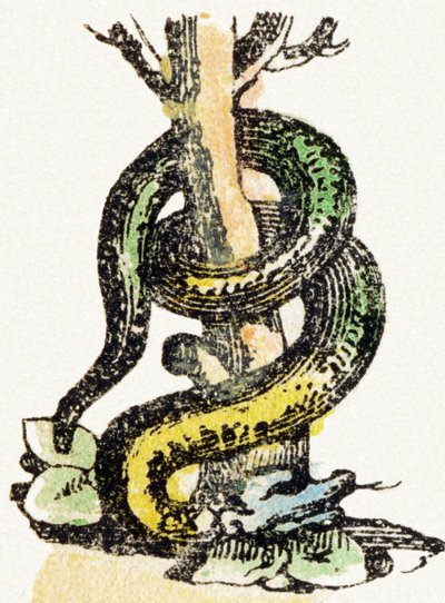 S - Yılan - Çocuk Eğlence Alfabesi c.1890 (litografi) by Unbekannt