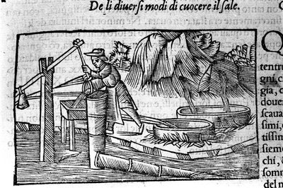 Tuz üretimi: pişirme. Olaus Magnus (1490 - 1557), İsveçli dindar ve coğrafyacı tarafından gravür, "Kuzey Ulusunun Tarihi", Venedik by Unbekannt