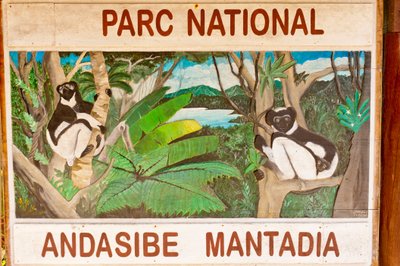 Ormanda lemurları gösteren işaret; Andasibe-Mantadia Milli Parkı; Madagaskar; Afrika by Unbekannt