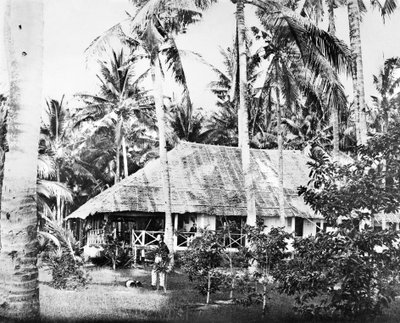 Singapur : Palmiye Ağaçlarıyla çevrili Özel Bir Bungalov. Singapur, c1875 by Unbekannt