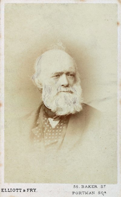 Sir Charles Lyell, İngiliz jeolog, c1865-1875 by Unbekannt