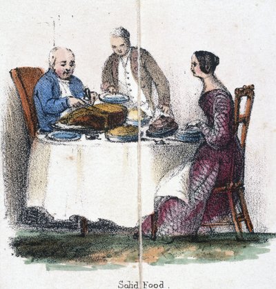 Katı yiyecek