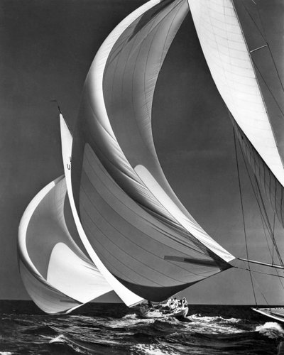 Yarış Yelkenlilerinde Spinakers (s/b fotoğraf) by Unbekannter Künstler