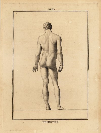 Orestes heykeli, çıplak, Yunan mitolojisinde Agamemnon