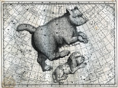 Boreal Takımyıldızları: Büyük Ayı ve Küçük Aslan. Camille Flammarion