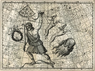 Bower, Boreal Crown, av köpekleri, Berenice