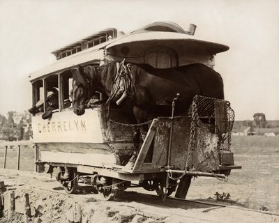 Cherrelyn At Arabası, Denver, Colorado, 1890 dolayları (s/b fotoğraf) by Nicolas Liez