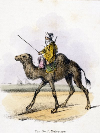 Hızlı Haberci