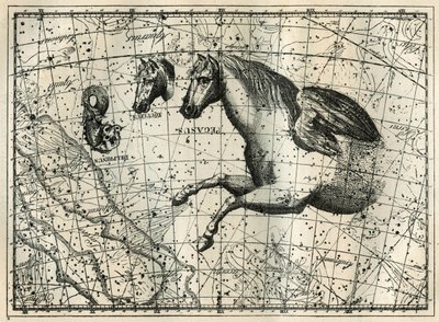 Pegase takımyıldızı, bir çift kanatlı atın ön yarısı, Küçük At, bir atın başı ve Yunus gibi çizer. Camille Flammarion