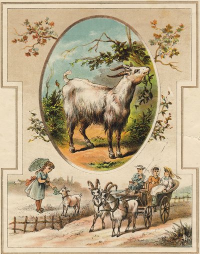 Keçi. "Mon premier Büyük Alfabesi"nde gravür. Bernardin-Bechet Edition, Paris, yaklaşık 1890. Çizimler, A. des Lilleuls. Sayfa yok, 46 sayfa. Karartma: 31x22cm . by Unbekannt