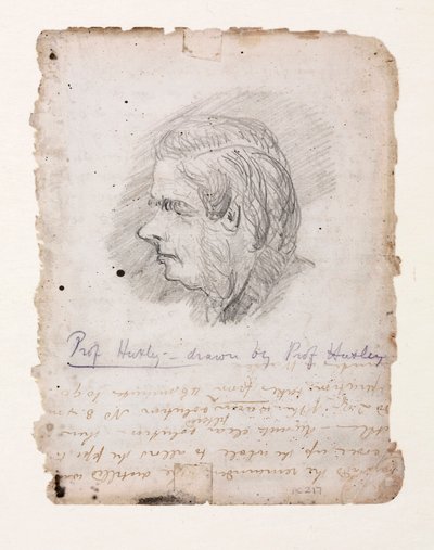 Thomas Henry Huxley, İngiliz biyolog, 19. yüzyılın ortaları by Unbekannt