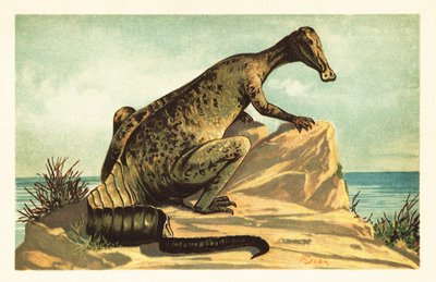 Trachodon mirabilis, soyu tükenmiş hadrosaurad dinozor.1908 (litografi) by Unbekannter Künstler